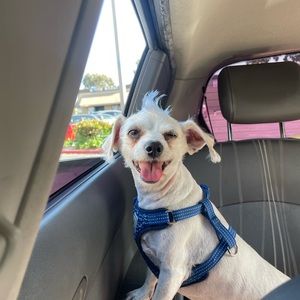 Meet your Posher, Daniel